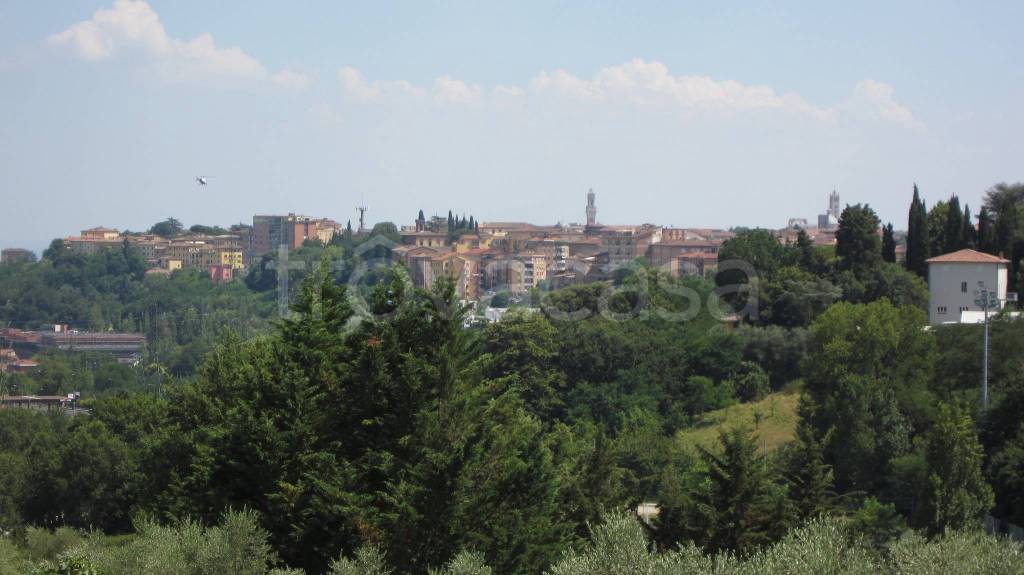 appartamento in affitto a Siena