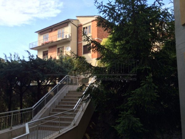 appartamento in affitto a Siena