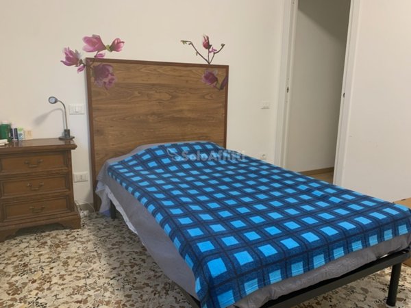 appartamento in affitto a Siena