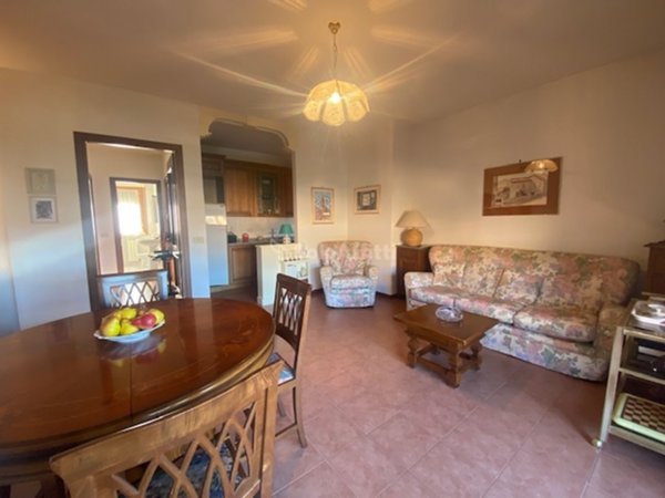 appartamento in affitto a Siena