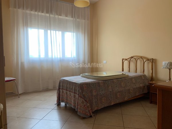 appartamento in affitto a Siena
