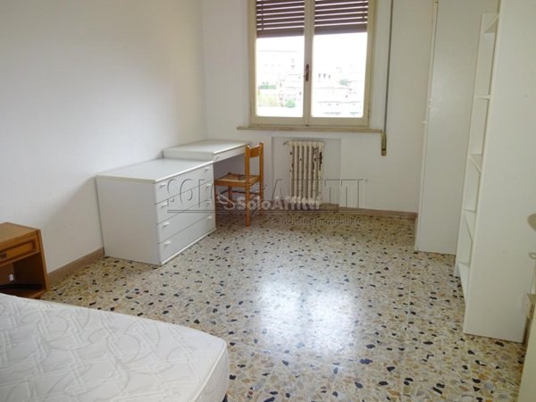 appartamento in affitto a Siena
