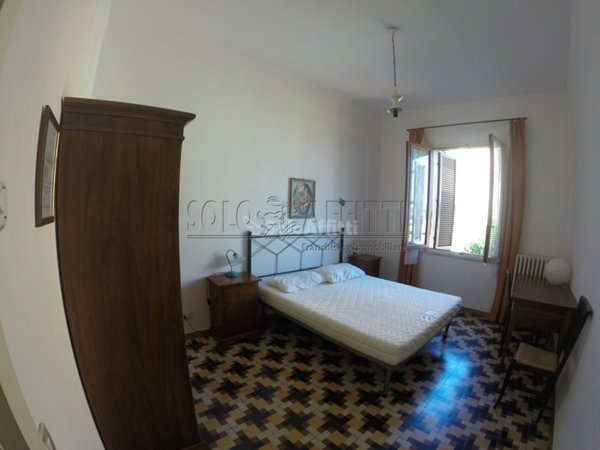 appartamento in affitto a Siena
