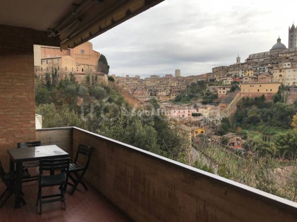 appartamento in affitto a Siena
