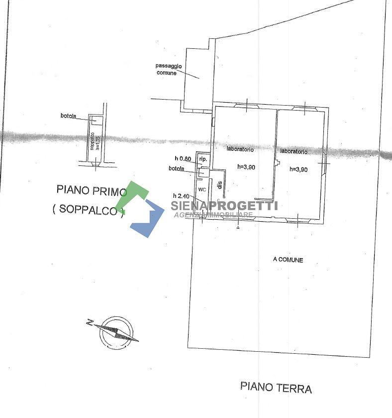 appartamento in affitto a Siena
