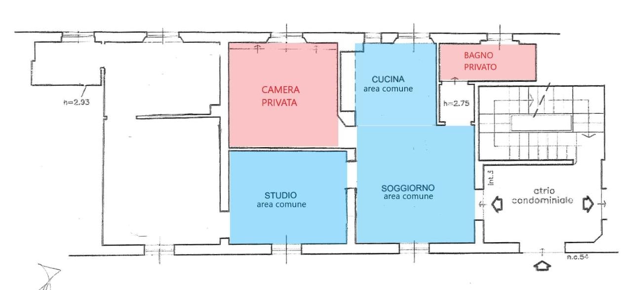 negozio in affitto a Siena