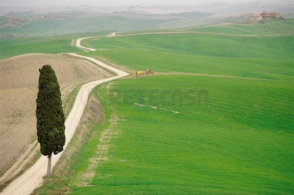 appartamento in affitto a Siena