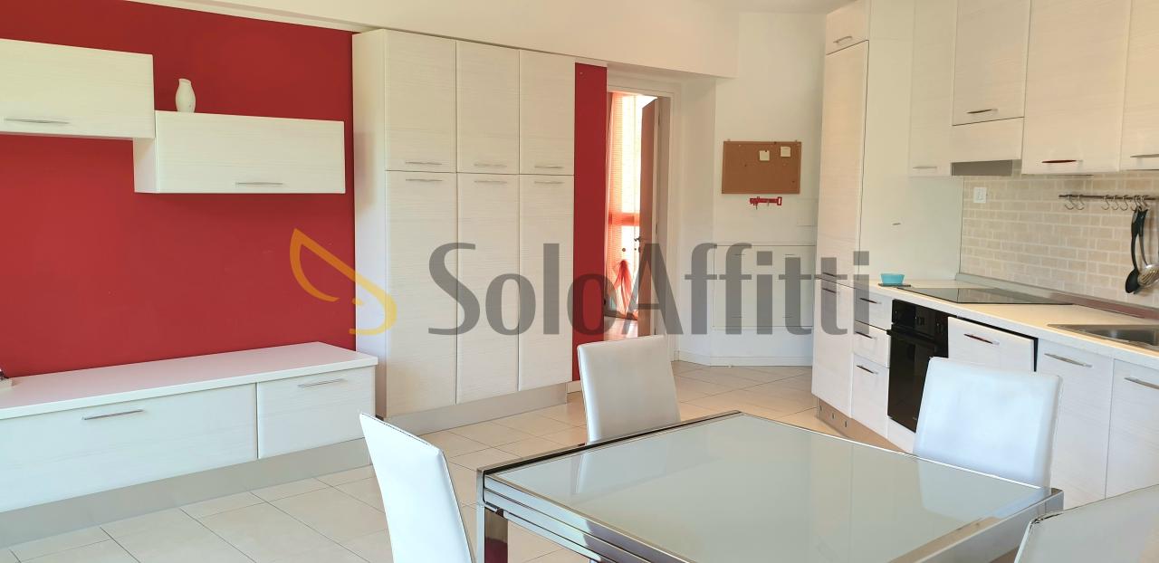 appartamento in affitto a Siena