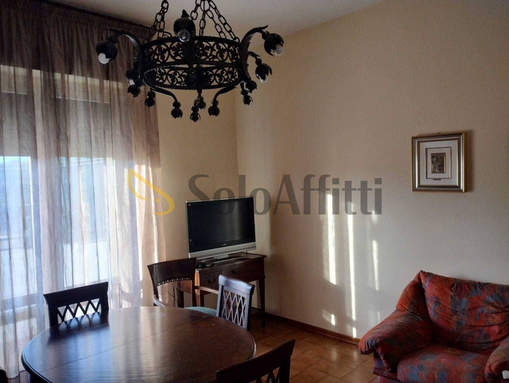 appartamento in affitto a Siena