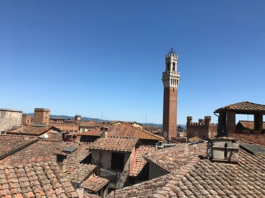 appartamento in affitto a Siena in zona Centro Città