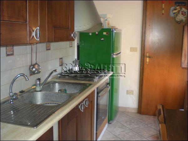 appartamento in affitto a Siena