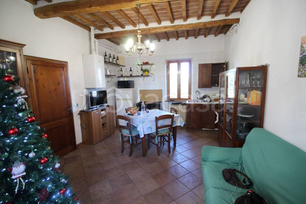 appartamento in affitto a Siena