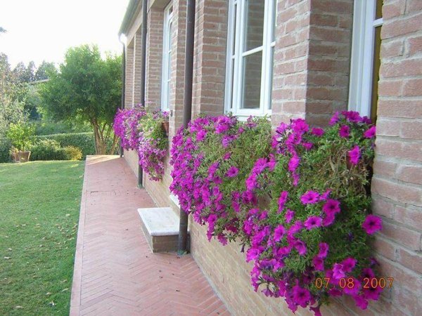 appartamento in affitto a Siena in zona Monteliscai