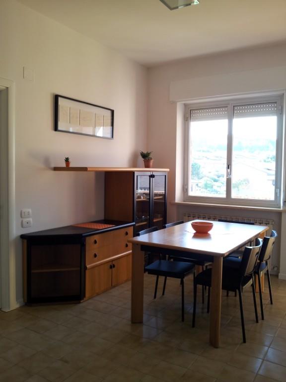 appartamento in affitto a Siena