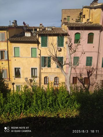appartamento in affitto a Siena