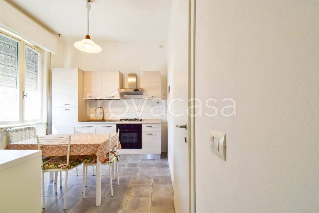 appartamento in affitto a Siena