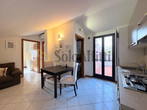 appartamento in affitto a Siena