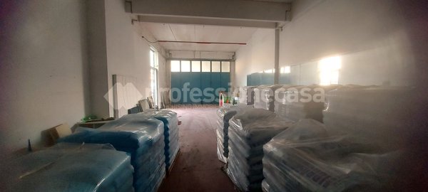 ufficio in affitto a Siena