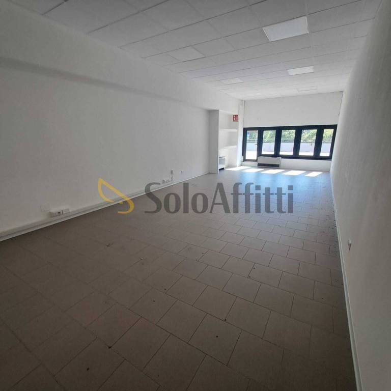 appartamento in affitto a Siena