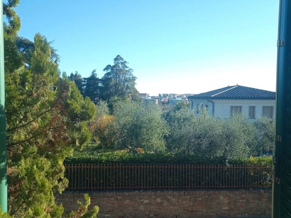 quadrivano in affitto a Siena