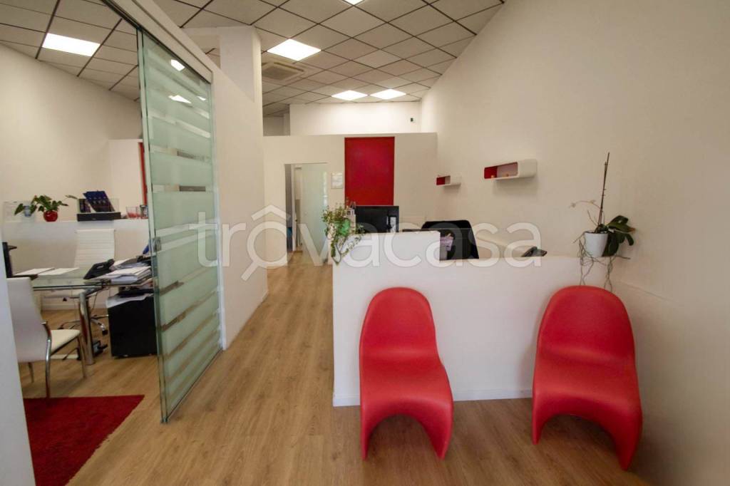 negozio in affitto a Siena