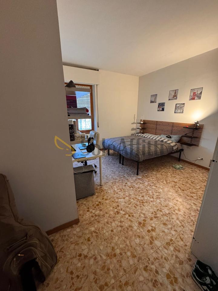 appartamento in affitto a Siena