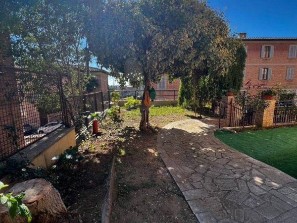 appartamento in affitto a Siena