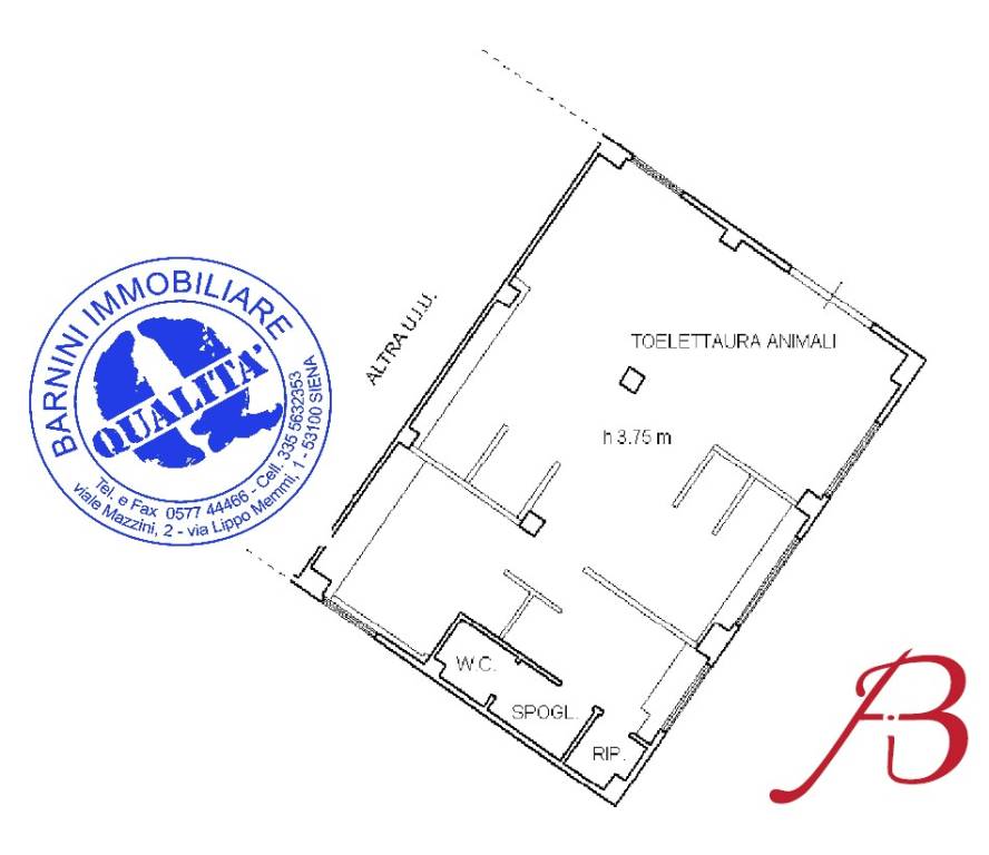 negozio in affitto a Siena