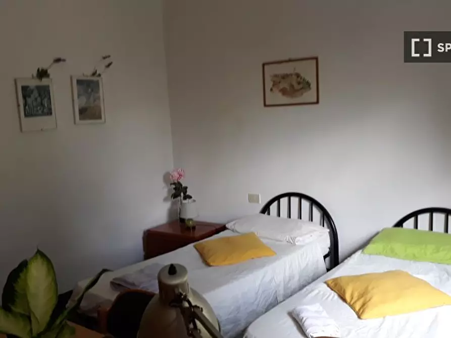 appartamento in affitto a Siena