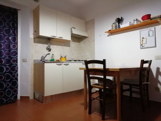 appartamento in affitto a Siena