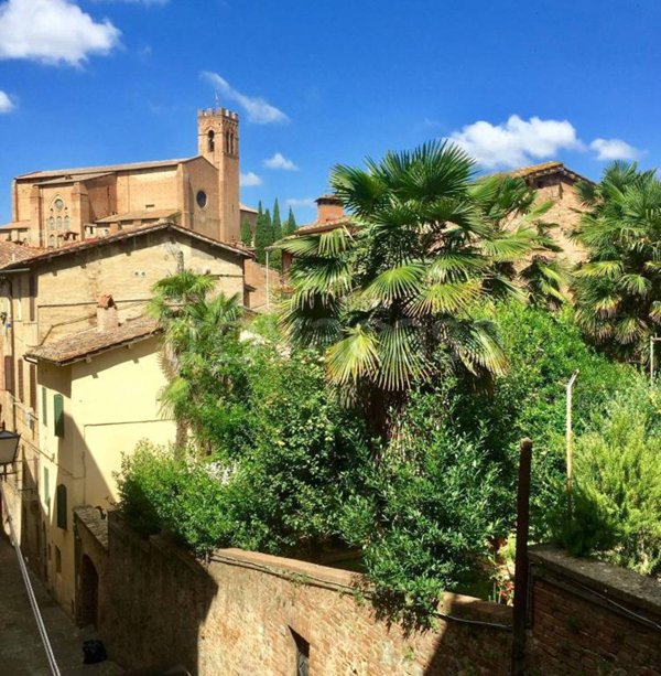 appartamento in affitto a Siena