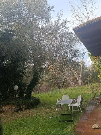 appartamento in affitto a Siena