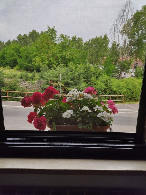 appartamento in affitto a Siena