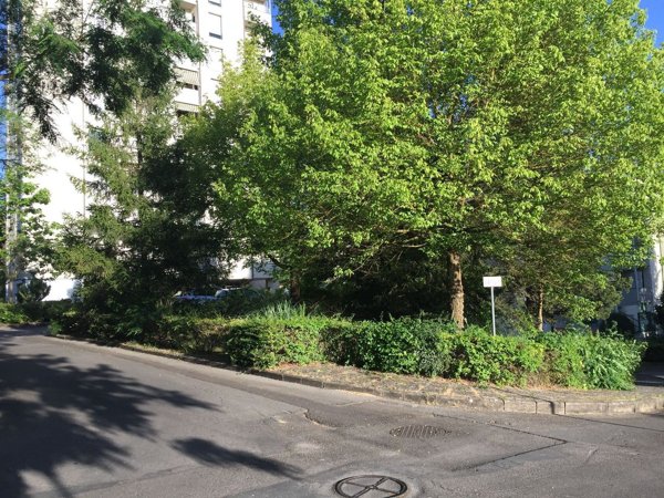 appartamento in affitto a Siena in zona San Miniato