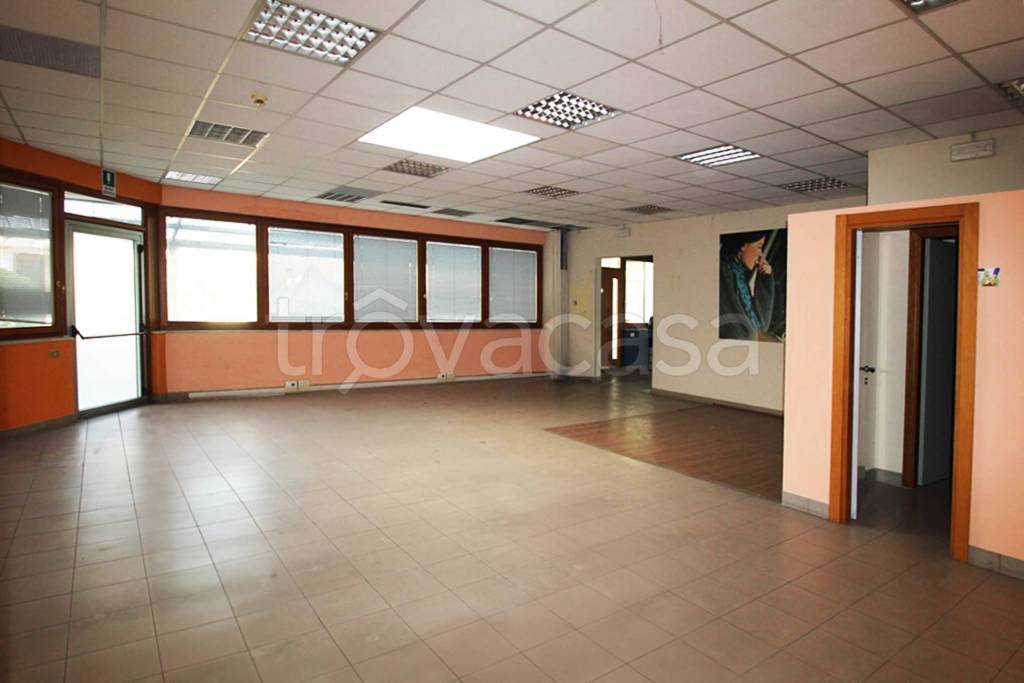 appartamento in affitto a Siena