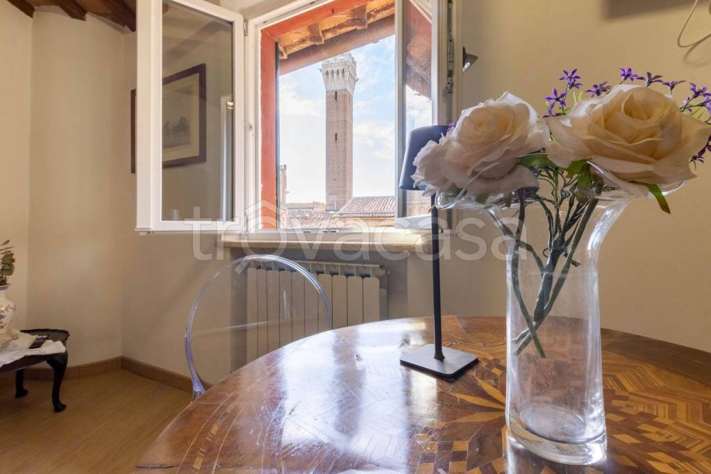 appartamento in affitto a Siena in zona Centro Città