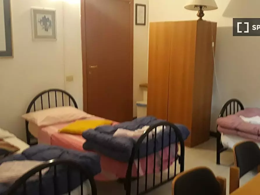 appartamento in affitto a Siena