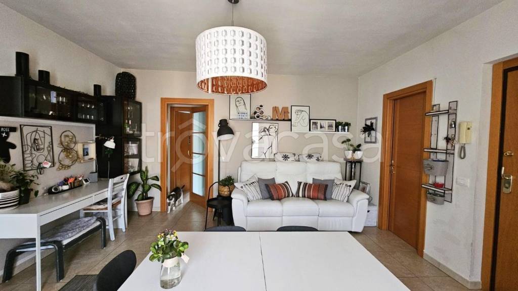 appartamento in affitto a Siena