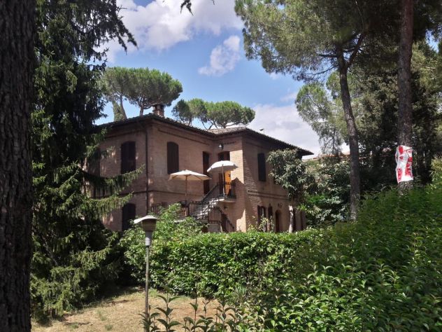 camera singola in affitto a Siena in zona Centro Città