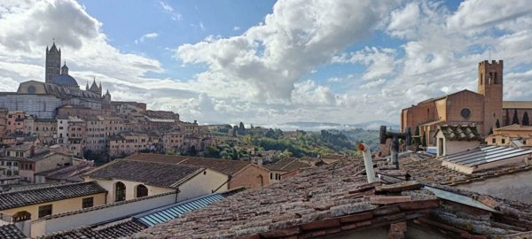 appartamento in affitto a Siena