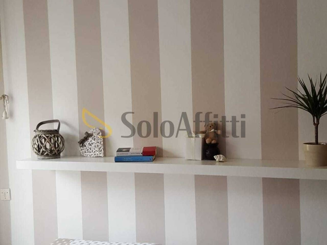 appartamento in affitto a Siena