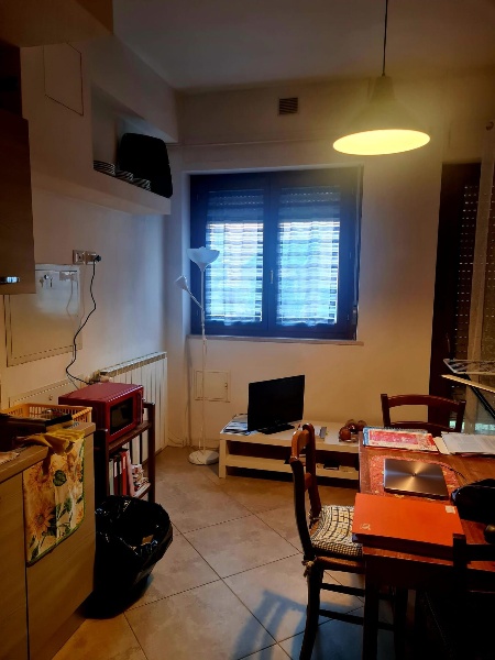appartamento in affitto a Siena