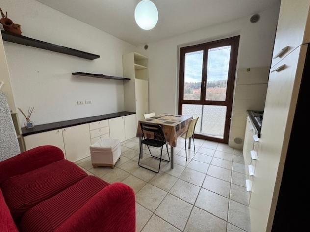 appartamento in affitto a Siena