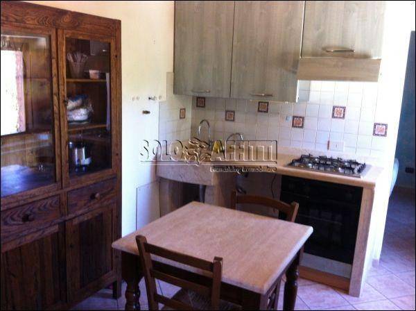 appartamento in affitto a Siena in zona Le Tolfe