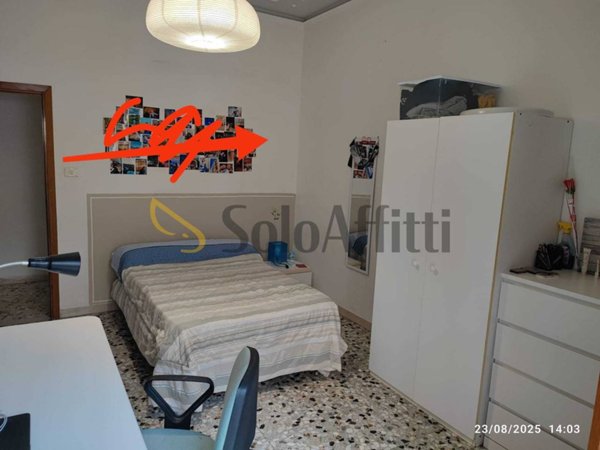 appartamento in affitto a Siena