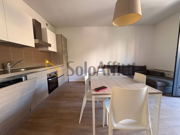 appartamento in affitto a Siena