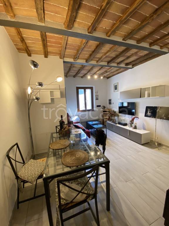 appartamento in affitto a Siena