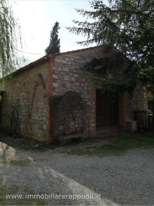 locale commerciale in affitto a Sinalunga