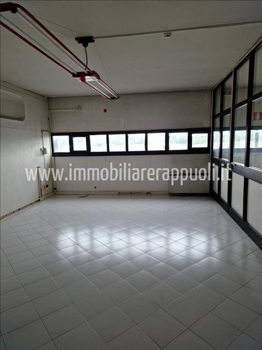 locale commerciale in affitto a Sinalunga