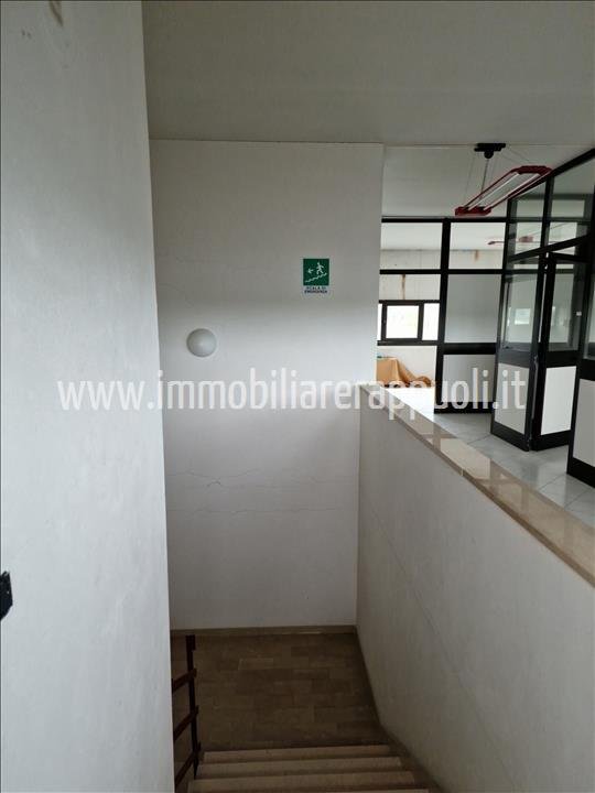 capannone in affitto a Sinalunga